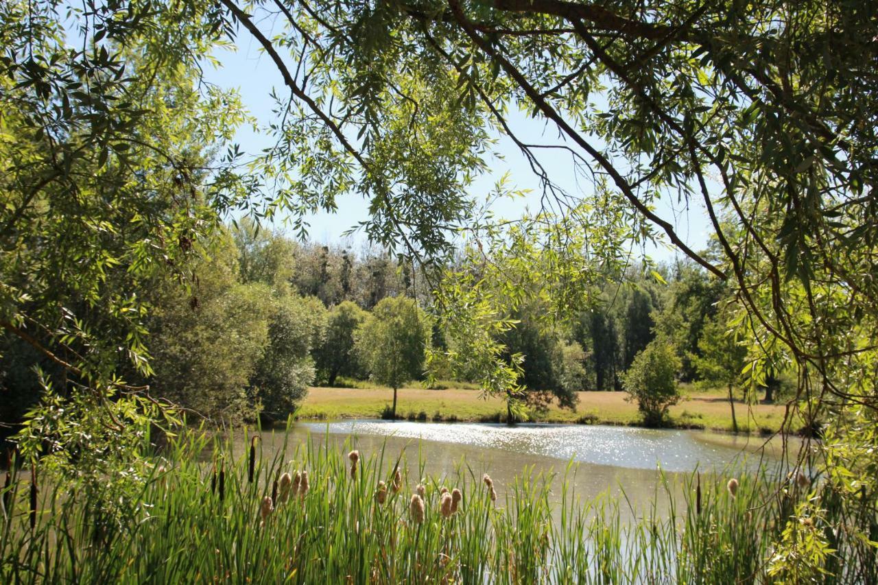 Vila La Bergerie Du Domaine Des Buissonnets Écardenville-sur-Eure Exteriér fotografie